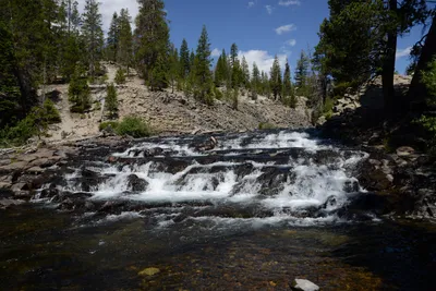 DSC_3586 (Large).JPG